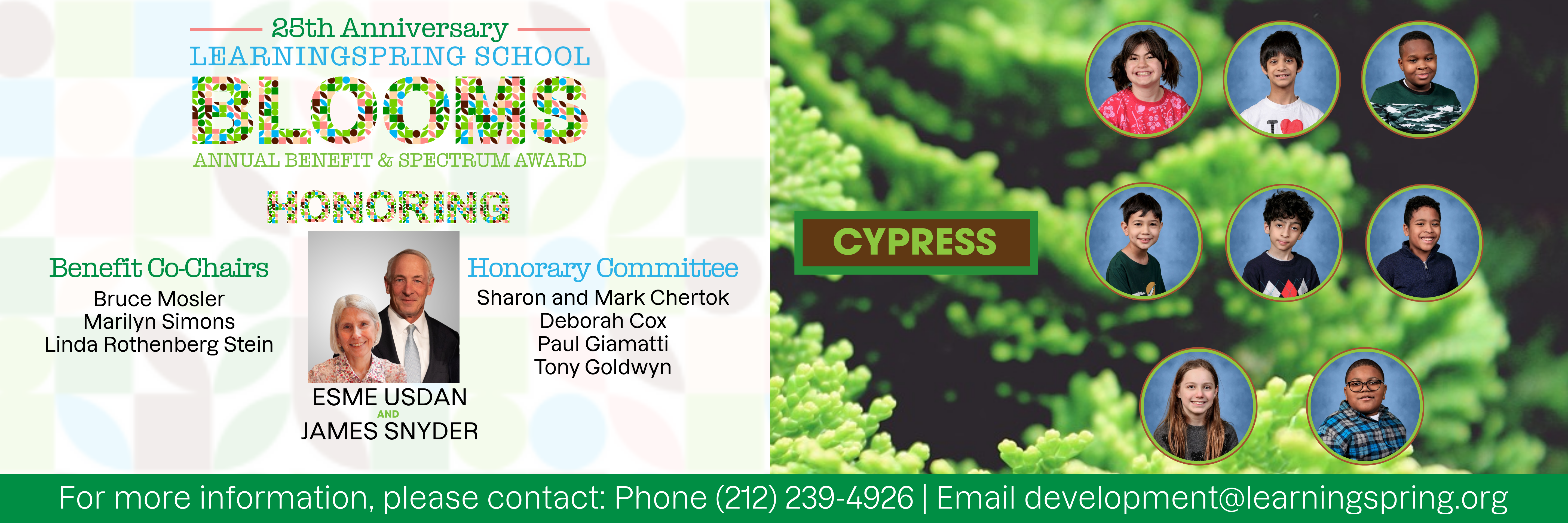 Cypress